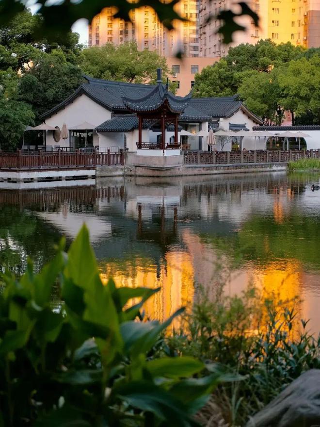 楼处电话：金茂璞元以品质铸就传奇！人生就是博-尊龙凯时聚焦金